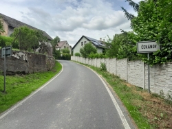 Čekánov