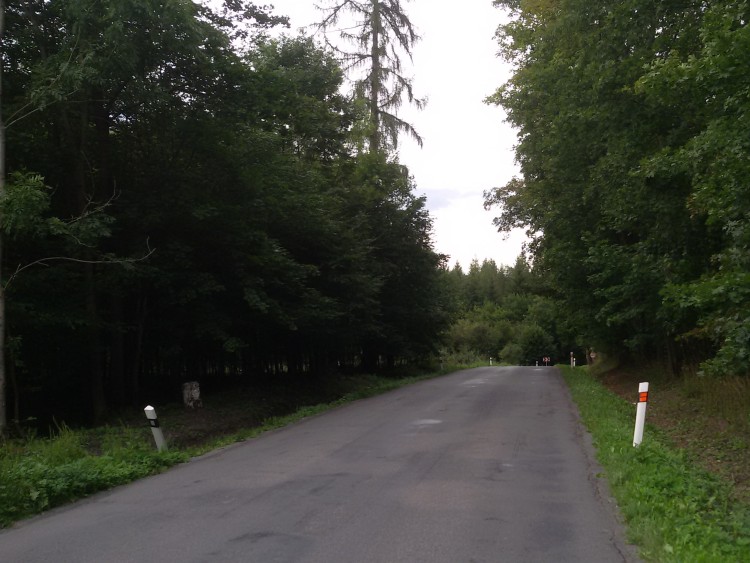 obrázek z trati