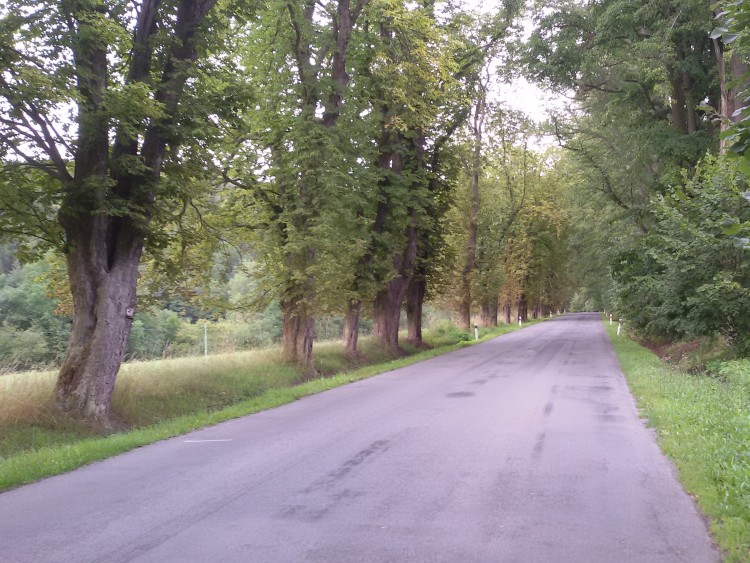 obrázek z trati