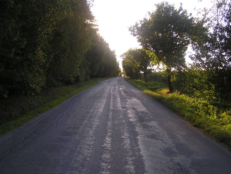 obrázek z trati