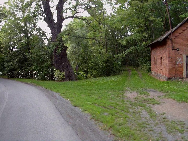 obrázek z trati