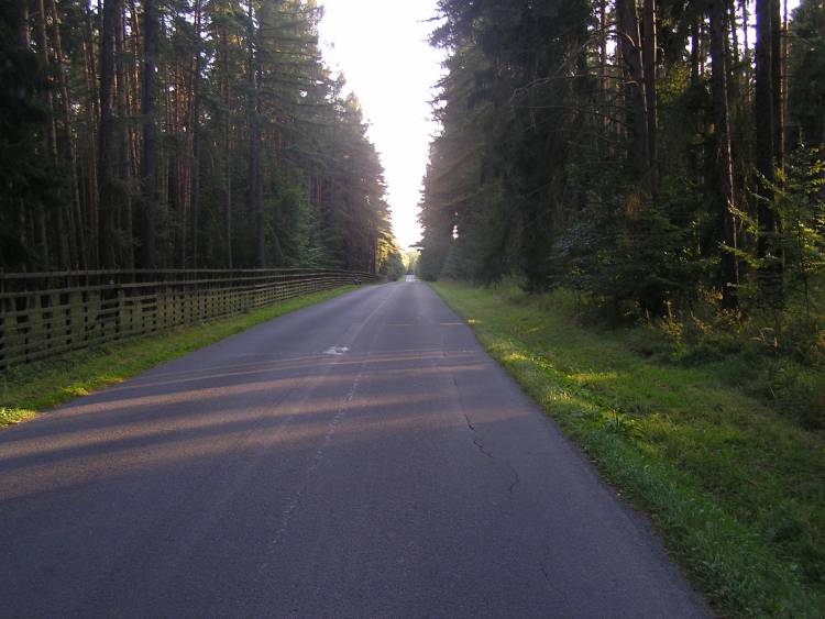 obrázek z trati
