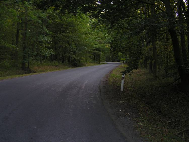 obrázek z trati