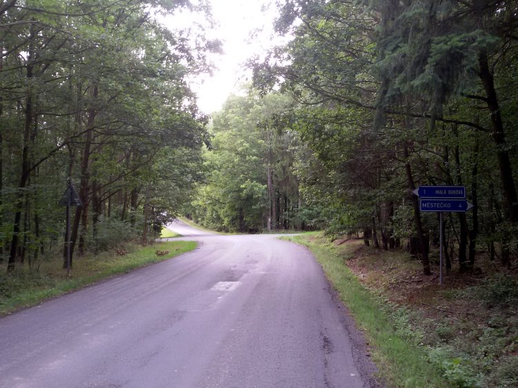 obrázek z trati