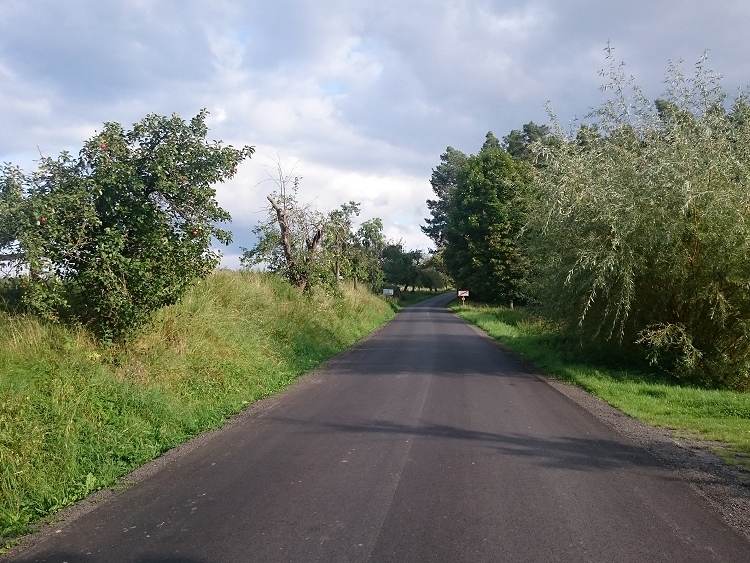 obrázek z trati
