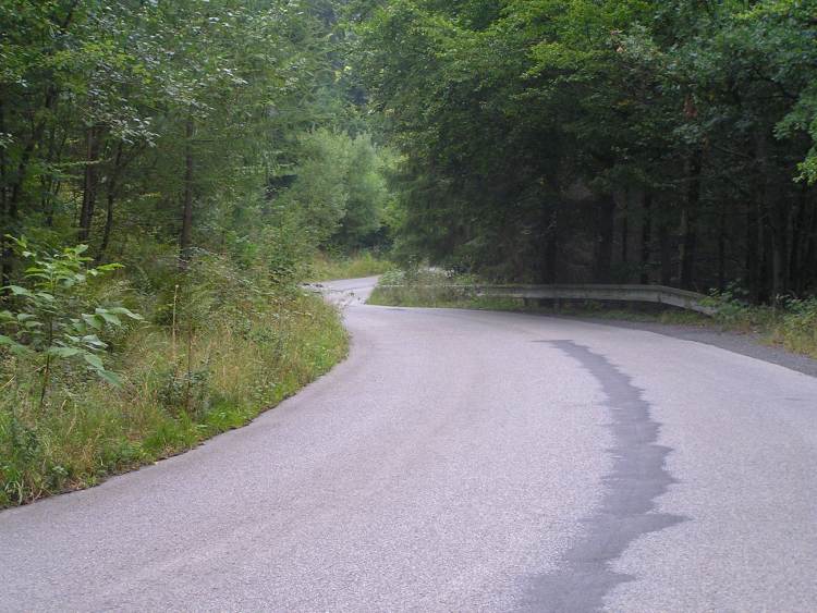 obrázek z trati