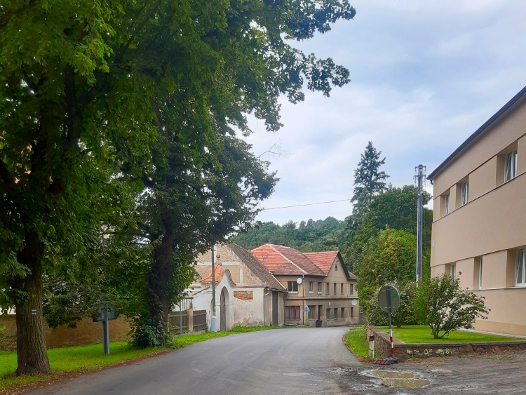 obrázek z trati