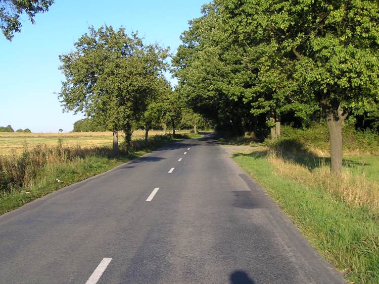 obrázek z trati