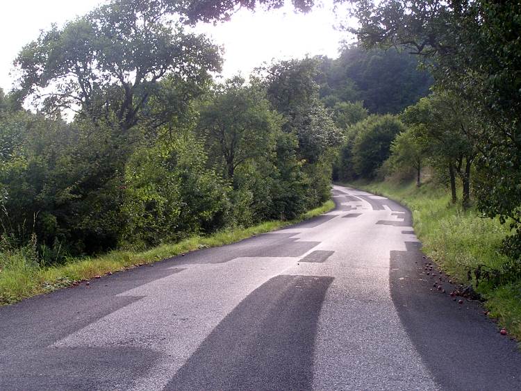 obrázek z trati
