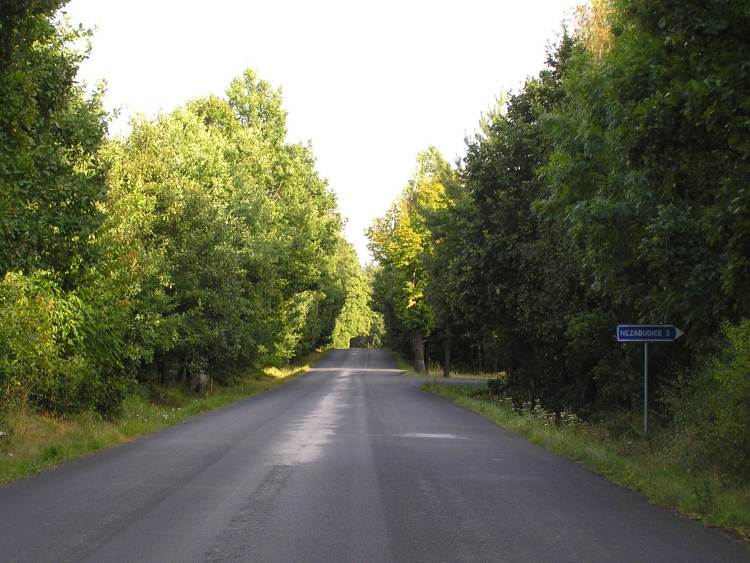 obrázek z trati