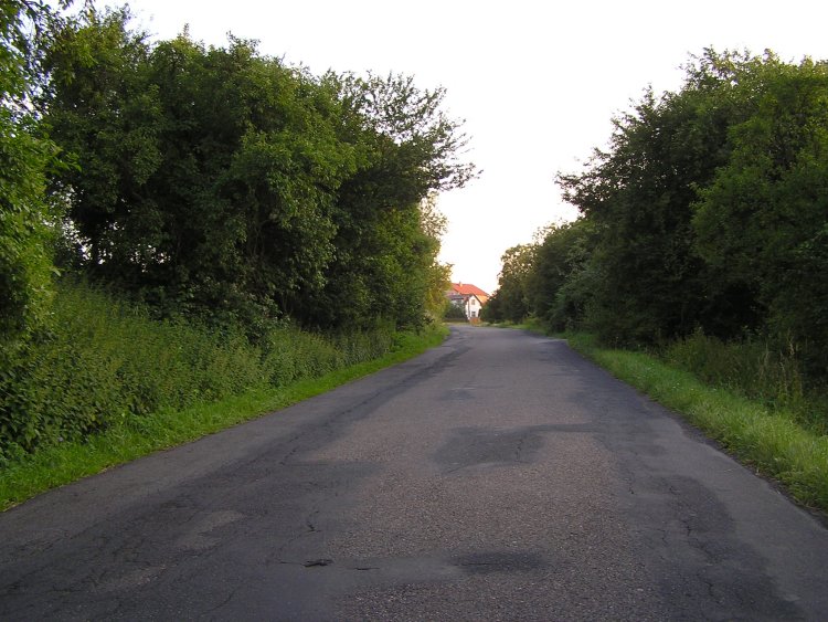 obrázek z trati