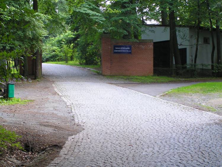 obrázek z trati